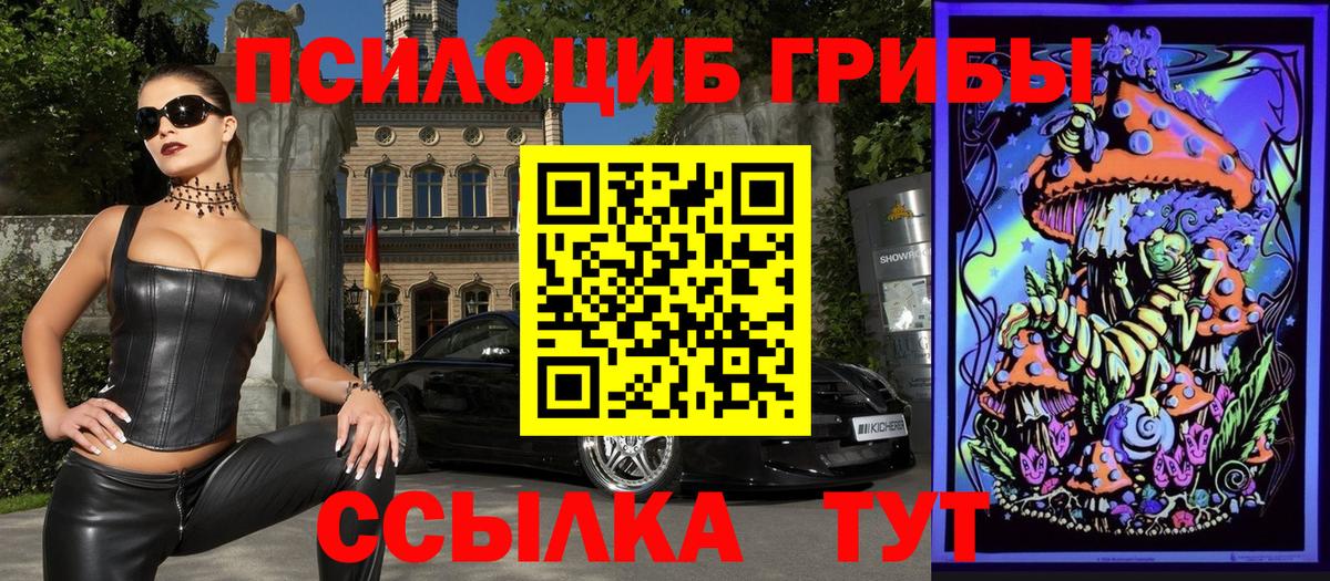 Псилоцибиновые грибы Psilocybine cubensis Удомля