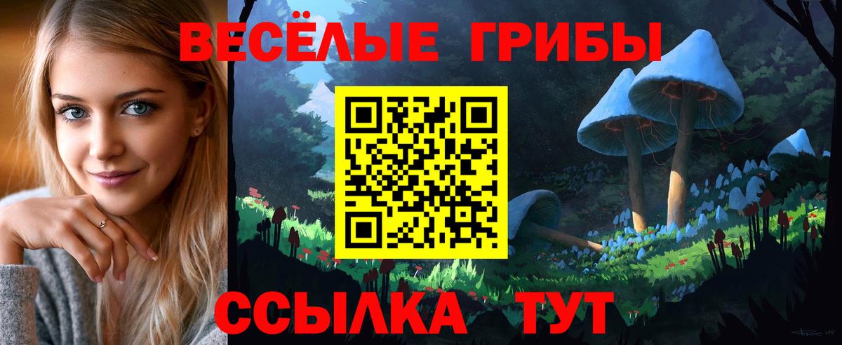 Гашиш Удомля